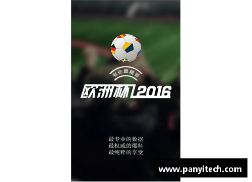法国欧洲杯2016：实力对决与荣耀辉映